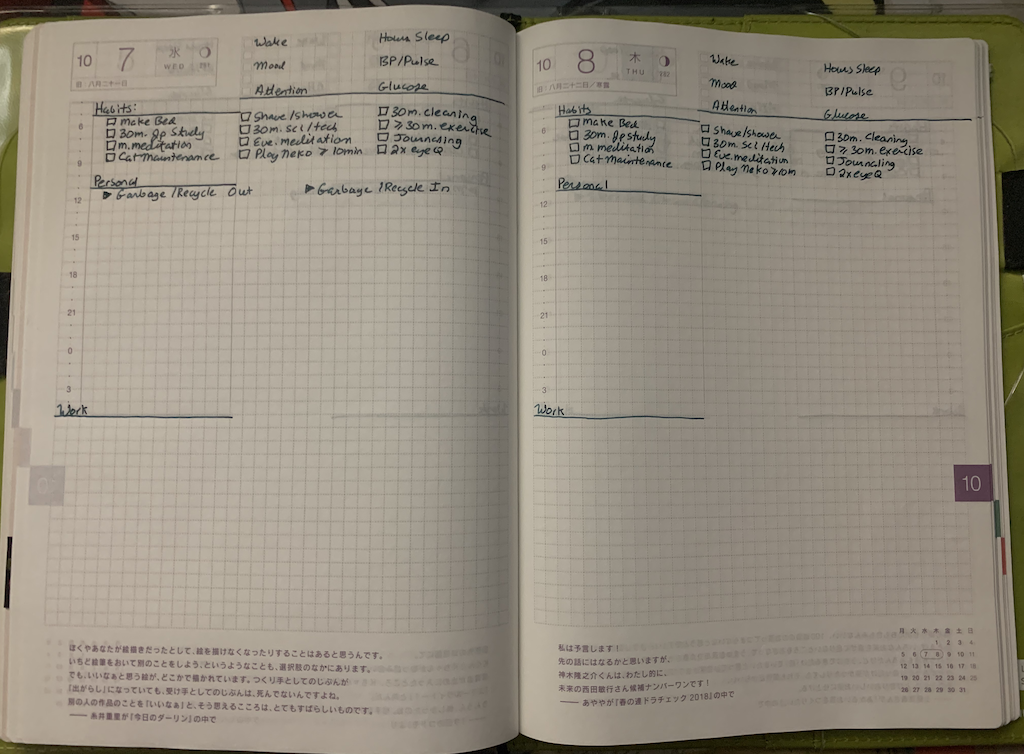 Hobonichi Weeks 2023 Setup  BEST Hobonichi Weeks Alternative Ever